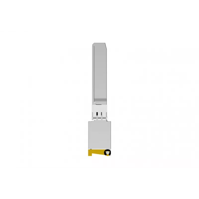 NETGEAR AXM765 SFP+ 10GBase-T RJ-45 modulo transceiver, fino a 80 m