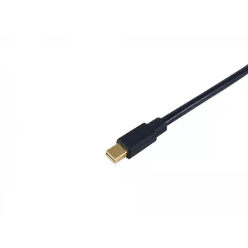 Cavo Mini DisplayPort a DisplayPort Equip, M/M, 2,0 m