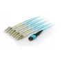 Equip cavo patch trunk in fibra ottica MTP/LC, OM4, 3 m