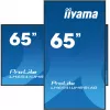 Display per signage iiyama LH6541UHS-B1AG 163,8 cm (64,5