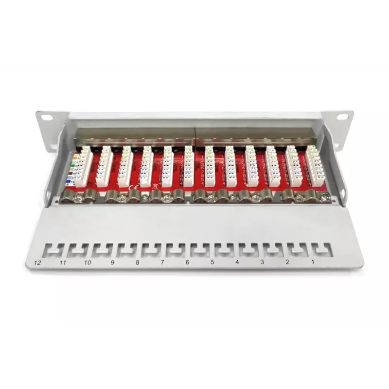 DIGITUS Patch panel CAT6A, schermato, 12 porte campo per etichette, 1U, montaggio rack 10 pollici, grigio RAL 7035