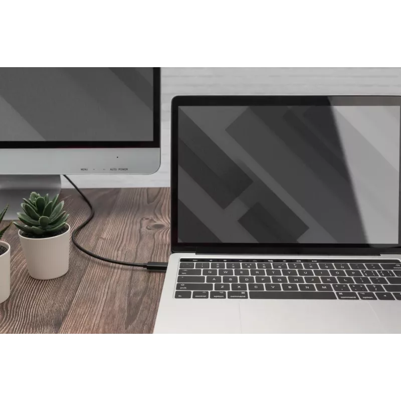 Cavo adattatore USB Type-C Gen2 a HDMI-A DIGITUS – 2 m