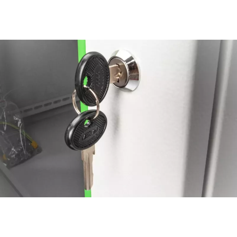 DIGITUS DN-19-KEY-4444 chiave di blocco tipo 4444 per armadi a muro SOHO PRO DN-1019 / DN-DVR-1, nero/argento, 2 pz.