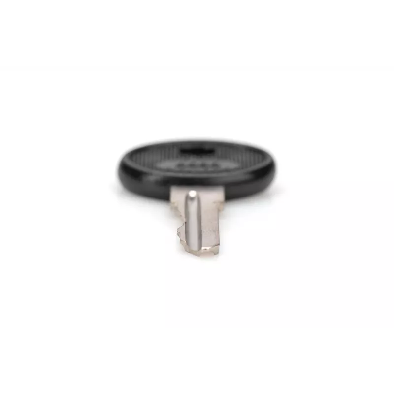 DIGITUS DN-19-KEY-4444 chiave di blocco tipo 4444 per armadi a muro SOHO PRO DN-1019 / DN-DVR-1, nero/argento, 2 pz.