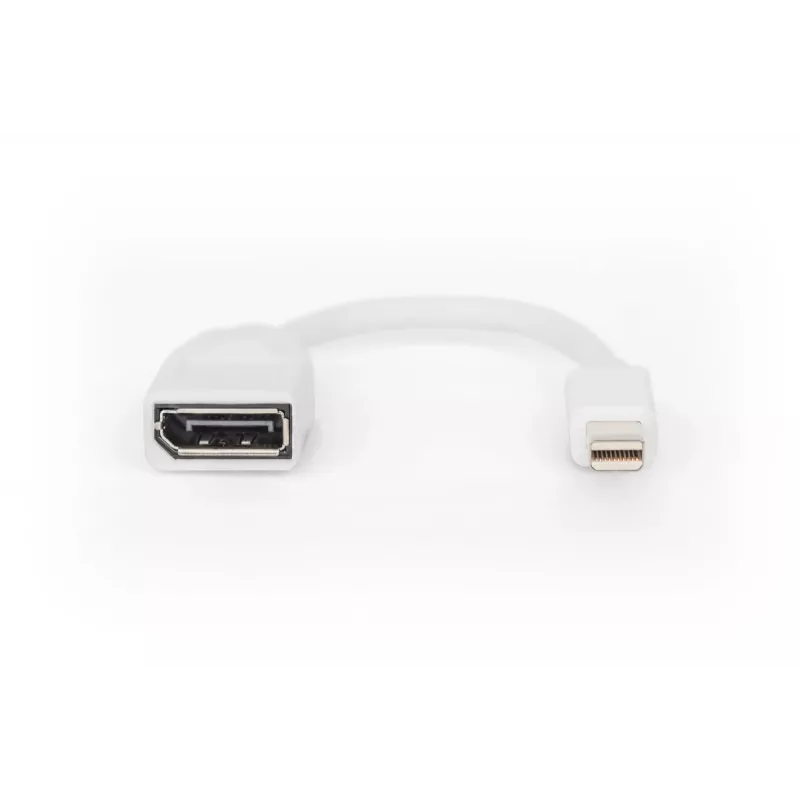 Cavo adattatore DisplayPort DIGITUS, Mini DP - DP M/F, 0,15 m, conforme DP 1.2, bianco