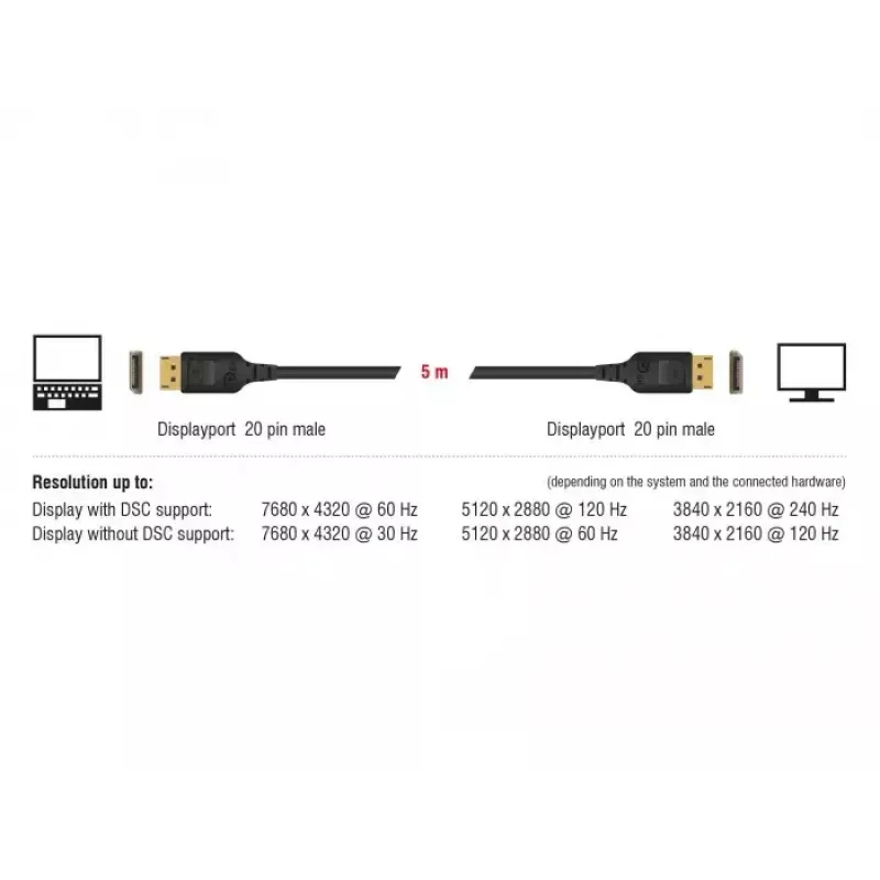Cavo DisplayPort DeLOCK 85660 2 m nero