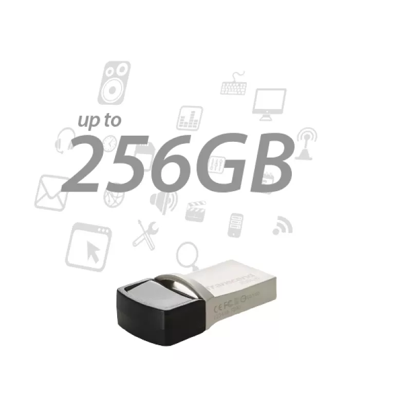 Transcend Jetflash 890 - 256GB Chiavetta USB - USB 3.1 / Type-C