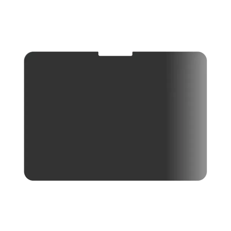 PanzerGlass Privacy protezione schermo per iPad Pro da 11 pollici (2024) M4, Ultra-Wide Fit, vetro, cornice nera