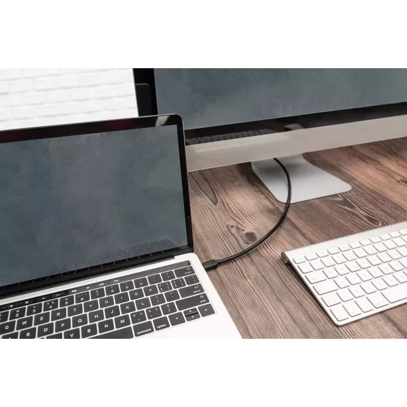 DIGITUS cavo di collegamento USB Type-C, type C to C M/M, 1m Gen2 nero (AK-300139-010-S)