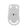 Mouse ASUS Wireless MD102 universale per destrimani RF Wireless + Bluetooth ottico 1600 DPI