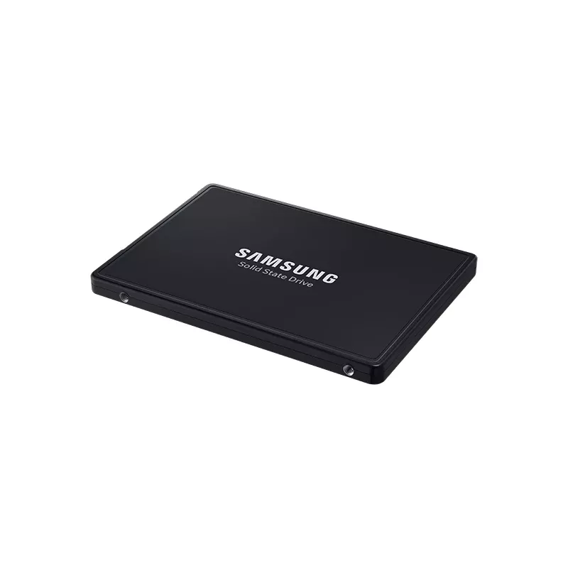 Samsung PM9A3 3.84 TB 2.5 pollici PCI Express 4.0 NVMe V-NAND TLC