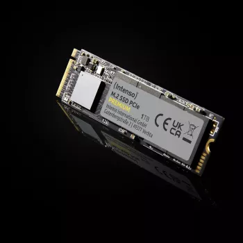 SSD disco Intenso 250 GB M.2 PCI Express 3.0 NVMe modello