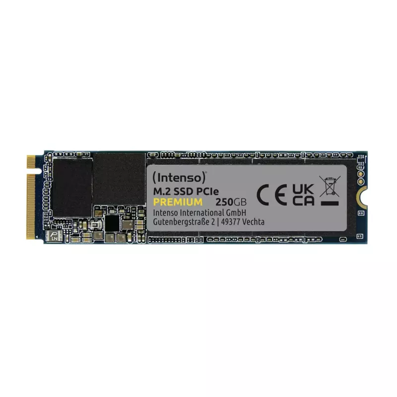 SSD disco Intenso 250 GB M.2 PCI Express 3.0 NVMe modello