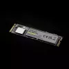 SSD disco Intenso 250 GB M.2 PCI Express 3.0 NVMe modello