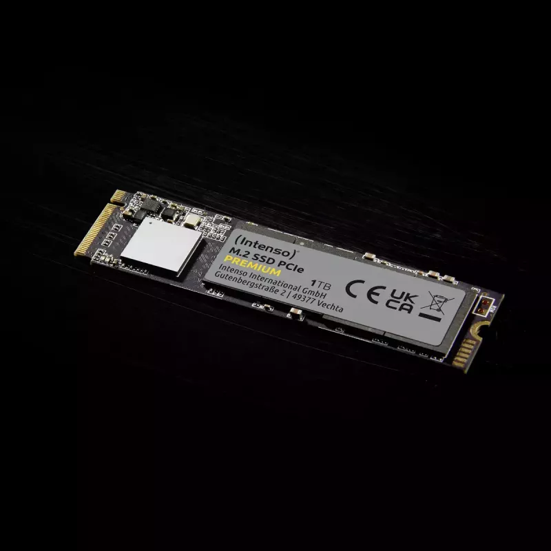 SSD disco Intenso 250 GB M.2 PCI Express 3.0 NVMe modello