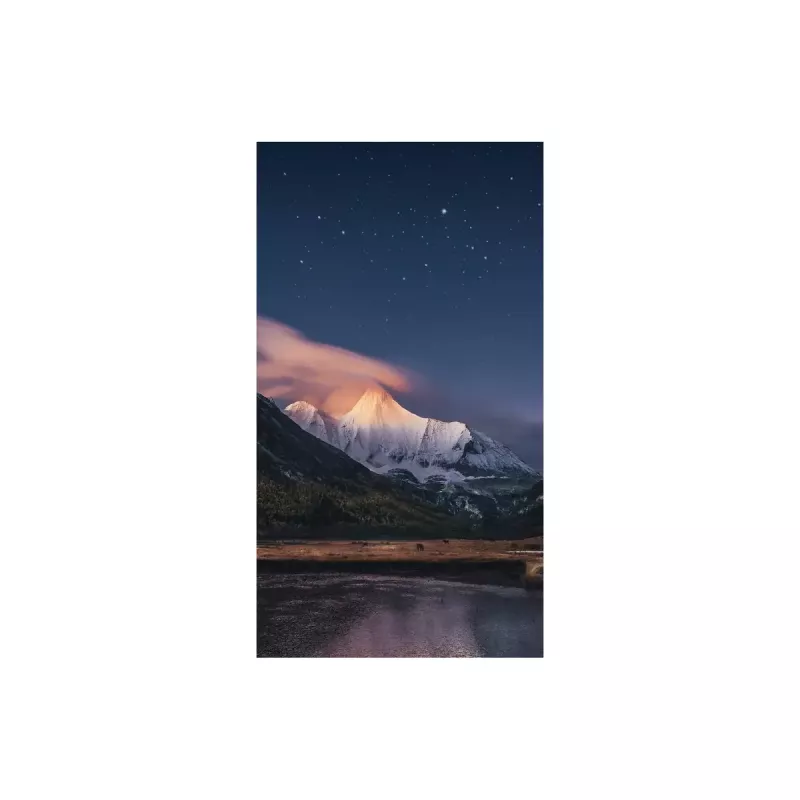 Monitor Samsung VM55C-R 55