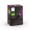 Philips Hue White and Colour Ambiance Lily Faretto da esterno