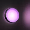 Applique da esterno Philips Hue White and colour ambience Daylo