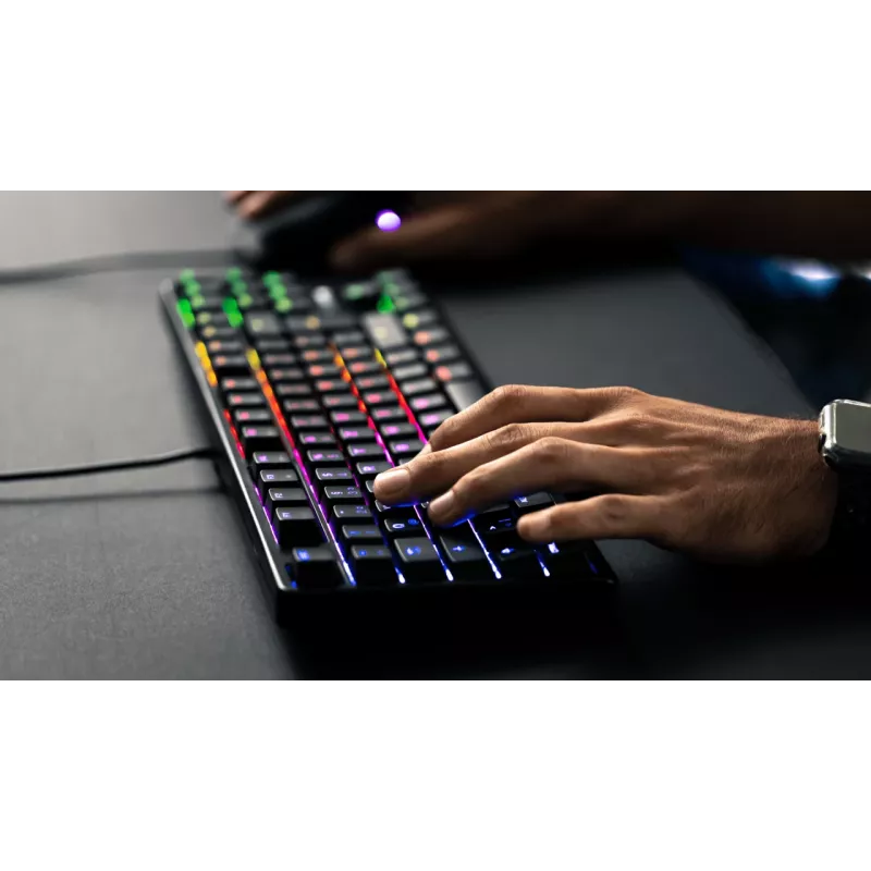 Tastiera CHERRY G80-3000N RGB TKL universale USB QWERTZ tedesco nero