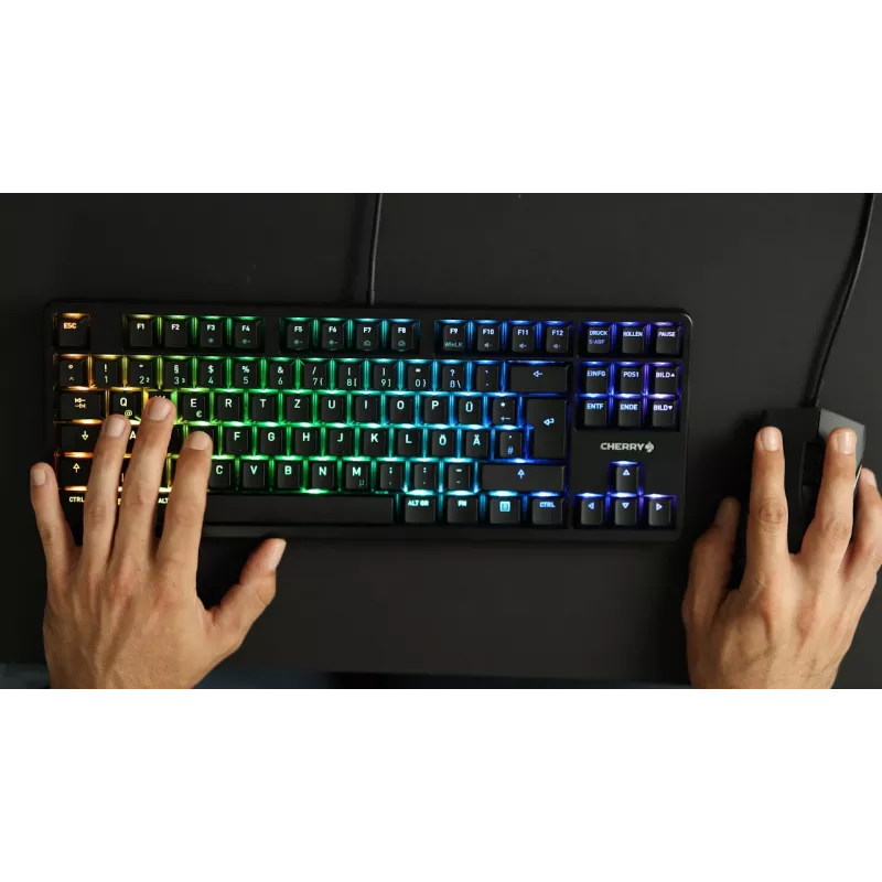 Tastiera CHERRY G80-3000N RGB TKL universale USB QWERTZ tedesco nero