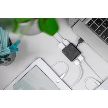 DIGITUS Hub USB 2.0 High-speed 4 porte (da-70217)