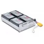 APC cartuccia batteria di ricambio RBC22 (OEM)