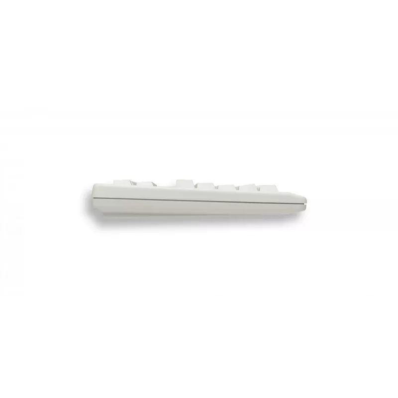 Tastiera CHERRY TouchBoard G80-1190 universale USB QWERTZ tedesco grigio