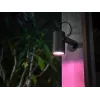 Lampada da appendere smart Philips Hue White and Colour Ambience Lily Outdoor Spot Light 1741430P7