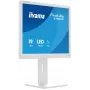 iiyama ProLite B1980S-W1 Monitor per computer 48,3 cm (19