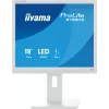 iiyama ProLite B1980S-W1 Monitor per computer 48,3 cm (19 inch) 1280 x 1024 pixel SVGA LED bianco