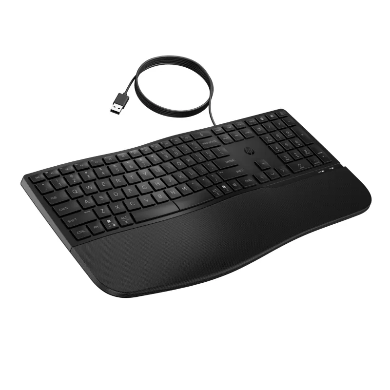 Tastiera con filo HP 485 Comfort full-size USB a membrana con poggiapolsi