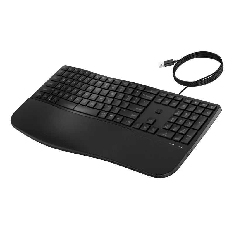 Tastiera con filo HP 485 Comfort full-size USB a membrana con poggiapolsi