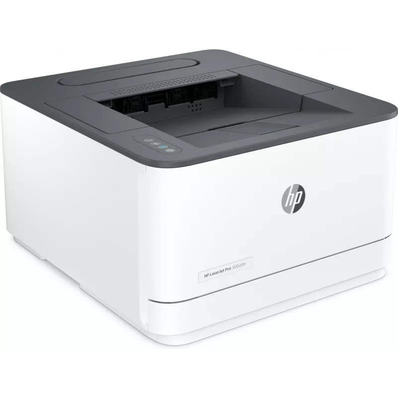 Stampante HP LaserJet Pro 3002dn laser grigio bianco