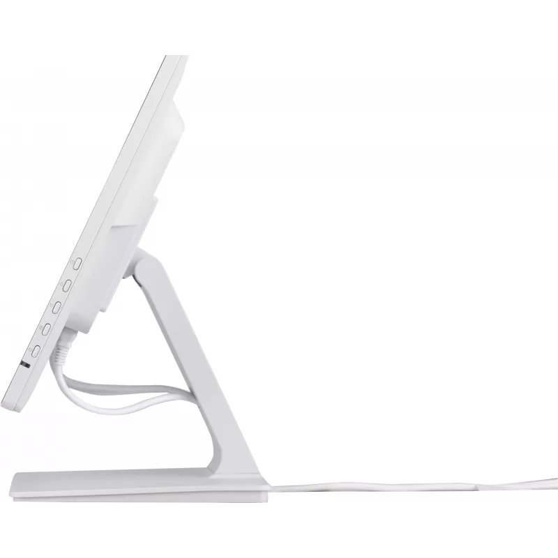 iiyama ProLite T2452MSC-W1 monitor per computer 61 cm (24