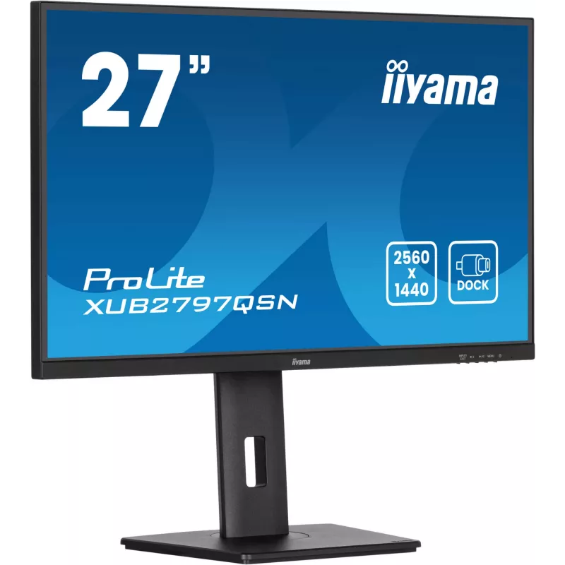 Monitor per computer iiyama ProLite XUB2797QSN-B2 68,6 cm (27