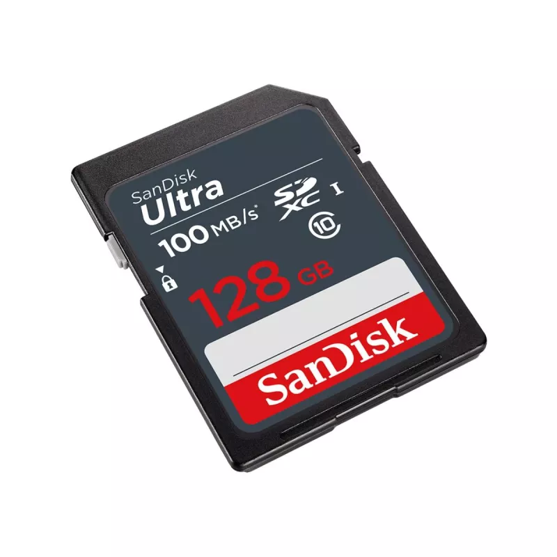 Scheda di memoria SDXC WESTERN DIGITAL SanDisk Ultra 128 GB 100 MB/s