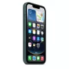 APPLE Custodia in silicone Apple iPhone 16e Lake Green