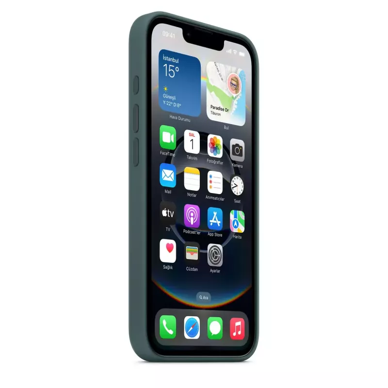 APPLE Custodia in silicone Apple iPhone 16e Lake Green