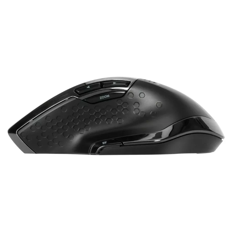 Targus AMW584GL mouse per destrorsi RF wireless Blue Trace 1600 DPI