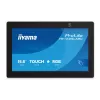 Monitor iiyama TW1625LASC-B3PNR 15.6