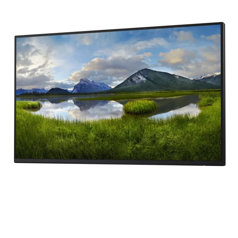 DELL Pro Plus P2425H_WOST Monitor per computer 61 cm (24