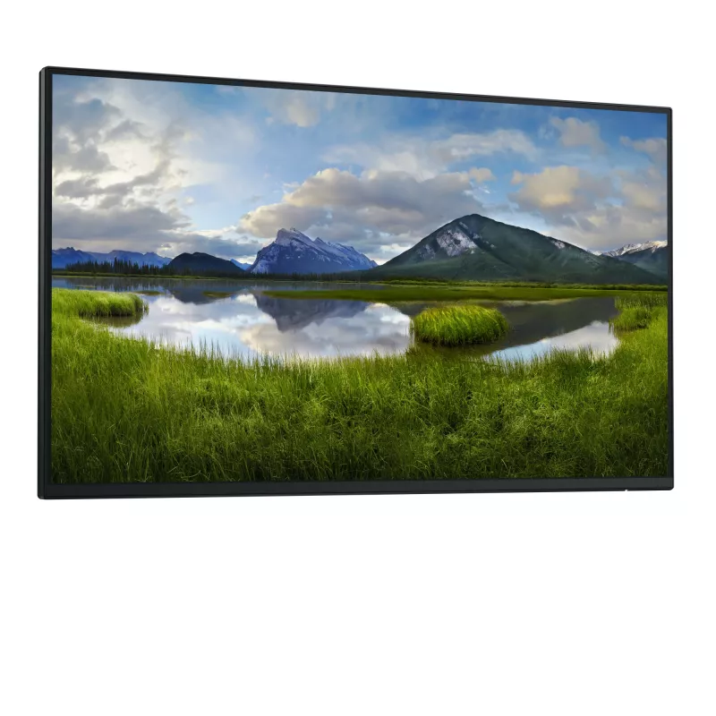 DELL Pro Plus P2425H_WOST Monitor per computer 61 cm (24