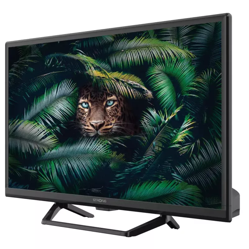 Televisore Strong SRT 24HE4023C 24