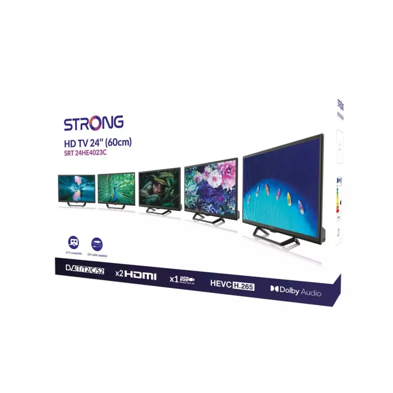 Televisore Strong SRT 24HE4023C 24