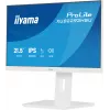 Monitor per computer iiyama ProLite XUB2293HSU-W7 54,6 cm (21,5
