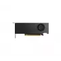 Scheda grafica NVIDIA RTX 2000 - Ada Retail