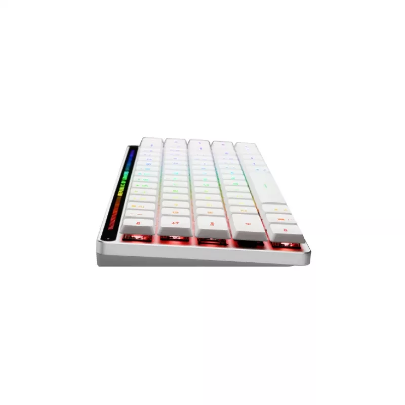 ASUS ROG Falchion RX Low Profile tastiera gaming USB + RF Wireless + Bluetooth QWERTZ bianco