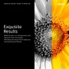 Xerox Genuine Phaser® 6510, WorkCentre® 6515 cartuccia toner magenta capacità extra alta (4300 pagine) - 106R03691
