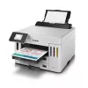 Stampante a getto d'inchiostro Canon MAXIFY GX5550 colore 600 x 1200 DPI A4 Wi-Fi
