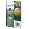 Confezione singola Epson Apple magenta T1293 inchiostro DURABrite Ultra